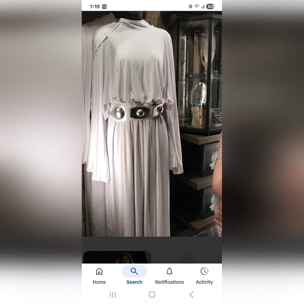 New Princess Leia Costume And Wig